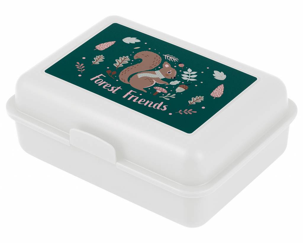 BAAGL - Box na desiatu Veverička