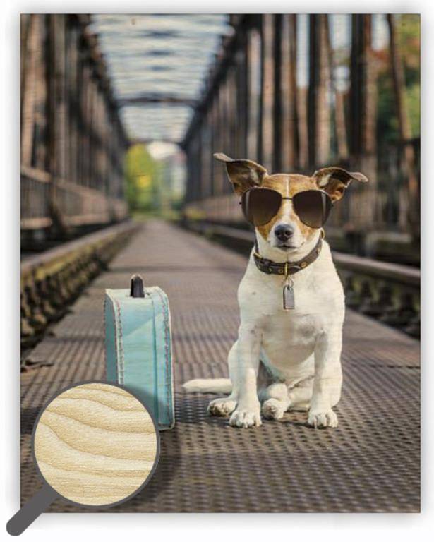 Dřevěný obraz Dog, vícebarevná