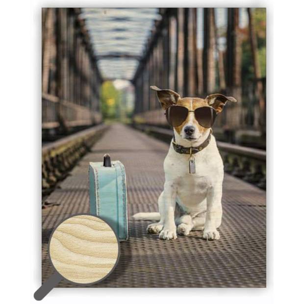 Dřevěný obraz Dog, vícebarevná Dřevěný obraz Dog, vícebarevná