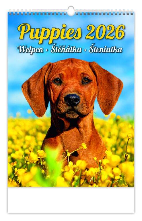 Kalendár Šteniatka, 2026