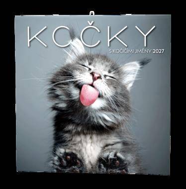 Nástěnný kalendář - Kočky