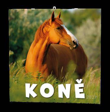 Nástěnný kalendář - Koně