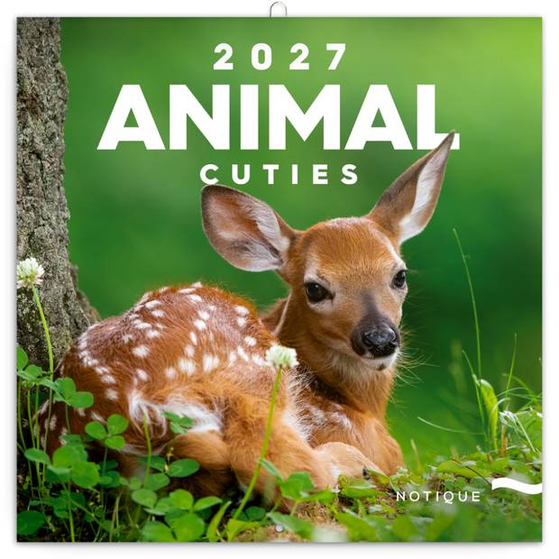 NOTIQUE Grid calendar Animal Cuties 2027, 30 x 30 cm NOTIQUE Grid calendar Animal Cuties 2027, 30 x 30 cm
