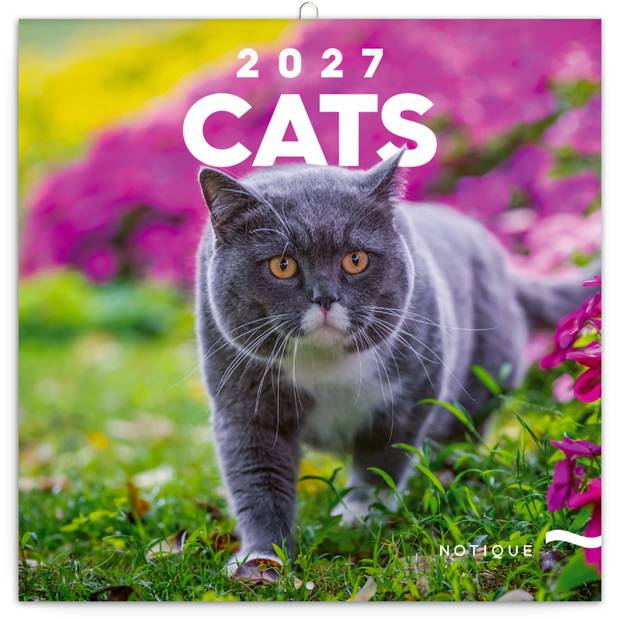 NOTIQUE Grid calendar Cats 2027, 30 x 30 cm NOTIQUE Grid calendar Cats 2027, 30 x 30 cm