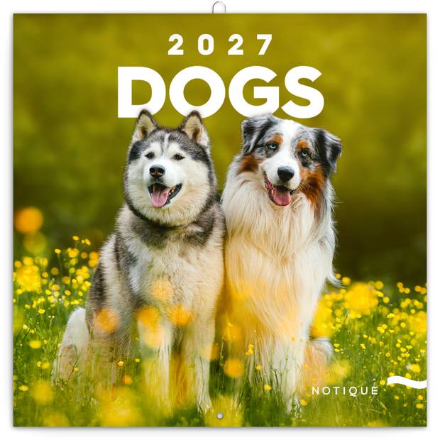 NOTIQUE Grid calendar Dogs 2027, 30 x 30 cm NOTIQUE Grid calendar Dogs 2027, 30 x 30 cm