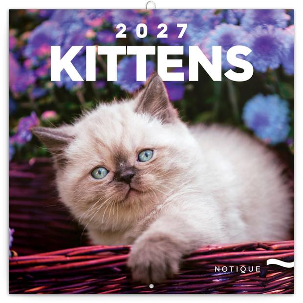 NOTIQUE Grid calendar Kittens 2027, 30 x 30 cm NOTIQUE Grid calendar Kittens 2027, 30 x 30 cm