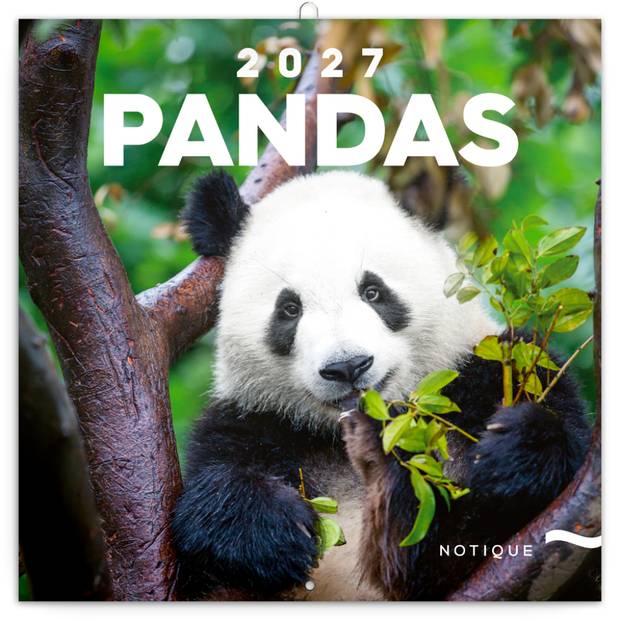 NOTIQUE Grid calendar Pandas 2027, 30 x 30 cm NOTIQUE Grid calendar Pandas 2027, 30 x 30 cm