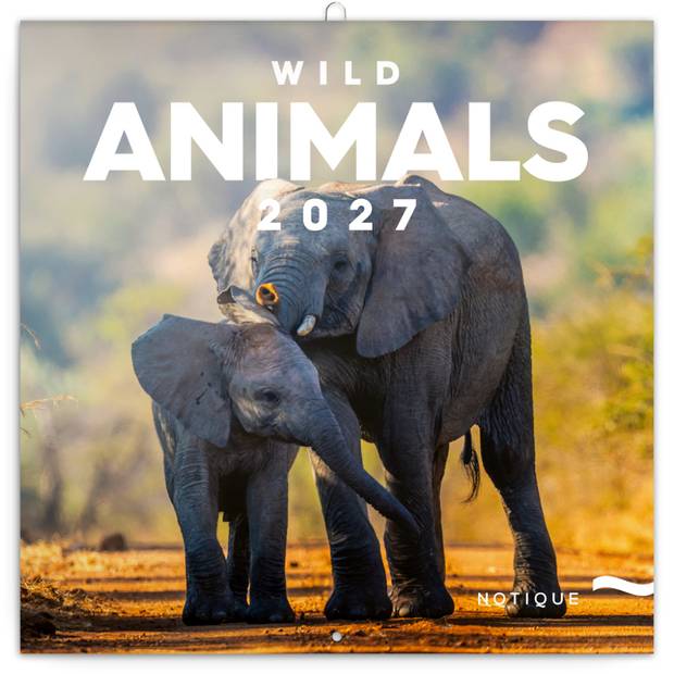 NOTIQUE Grid calendar Wild Animals 2027, 30 x 30 cm NOTIQUE Grid calendar Wild Animals 2027, 30 x 30 cm