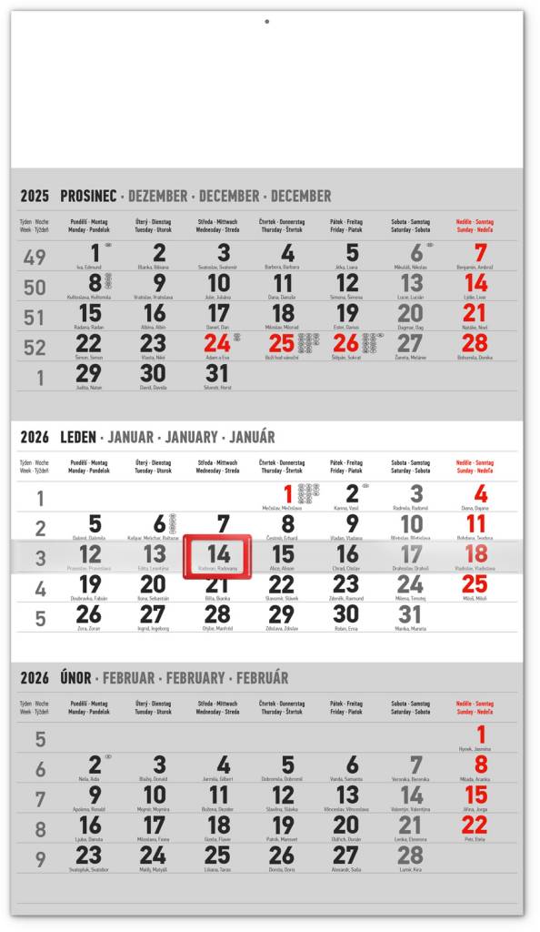 NOTIQUE Nástěnný kalendář 3měsíční standard šedý – s českými jmény CZ 2026, 29,5 x 43 cm