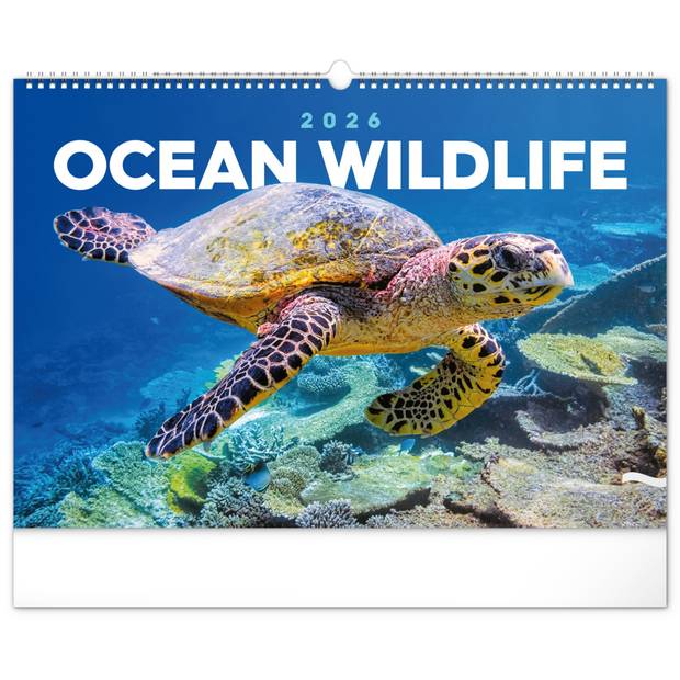 NOTIQUE Nástenný kalendár Podmorský svet 2026, 48 x 33 cm NOTIQUE Nástenný kalendár Podmorský svet 2026, 48 x 33 cm