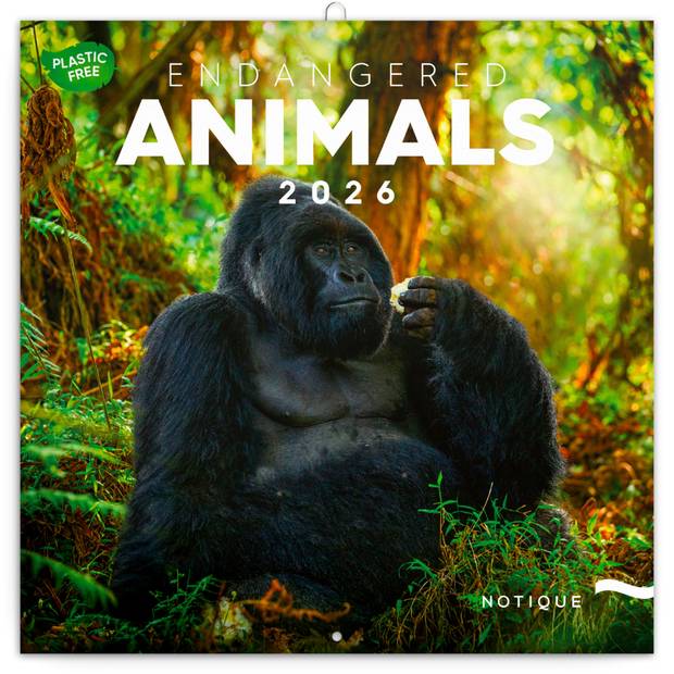 NOTIQUE Poznámkový kalendár Ohrozené druhy 2026, 30 x 30 cm NOTIQUE Poznámkový kalendár Ohrozené druhy 2026, 30 x 30 cm