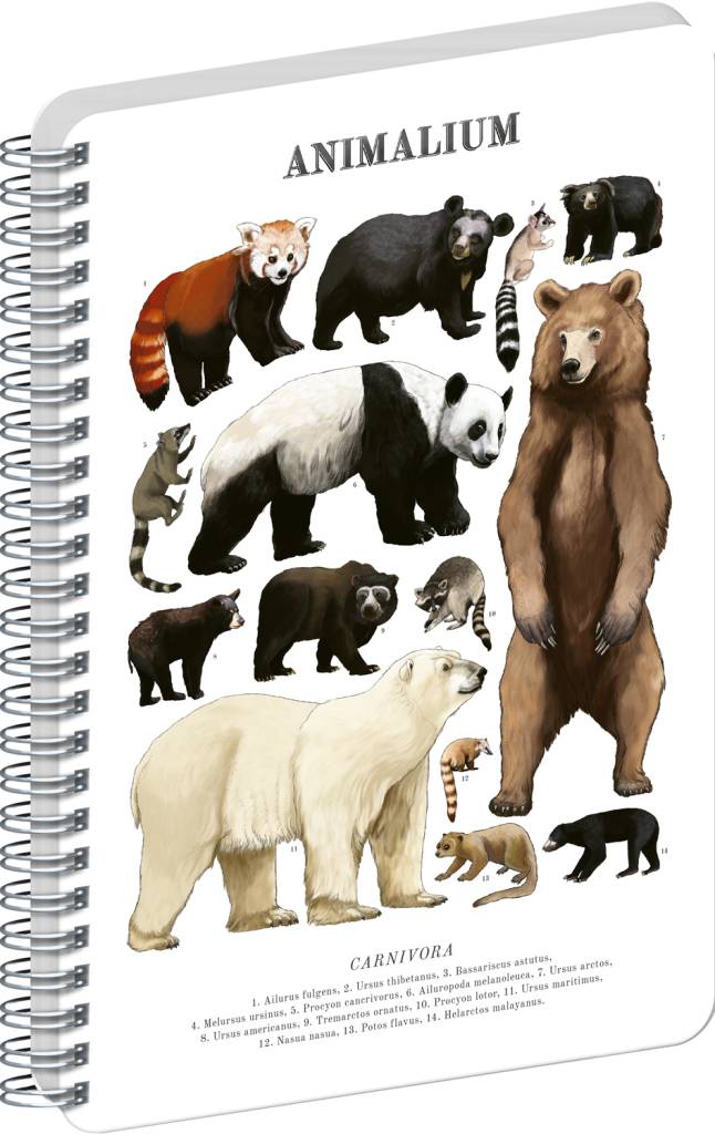 NOTIQUE Špirálový blok Animalium – Medveďovité šelmy, čistý, A5