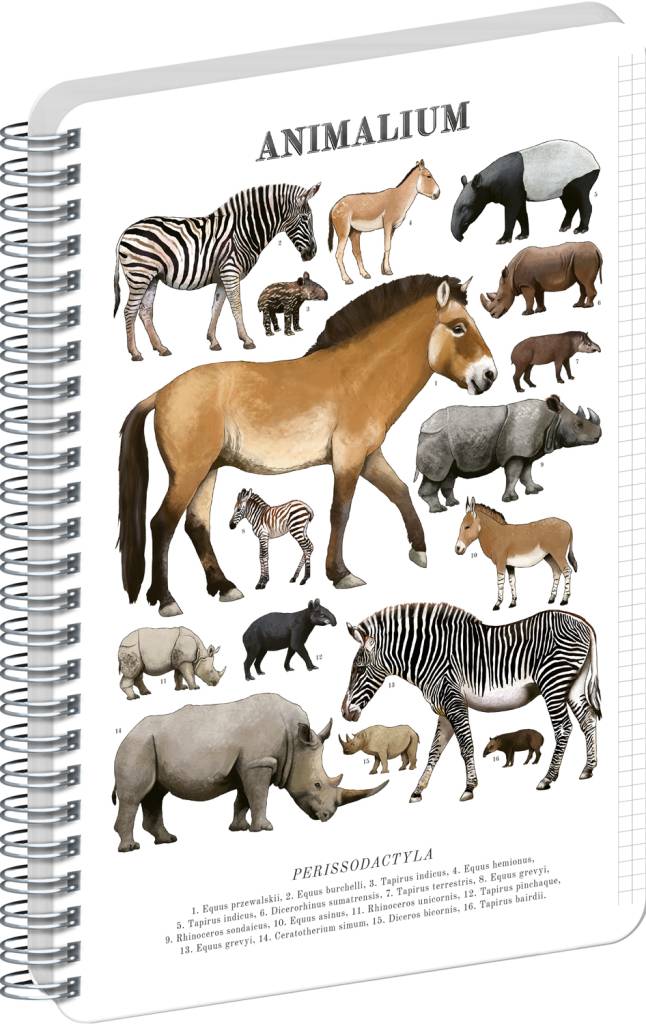 NOTIQUE Špirálový blok Animalium – Nepárnokopytníky, štvorčekovaný, A5