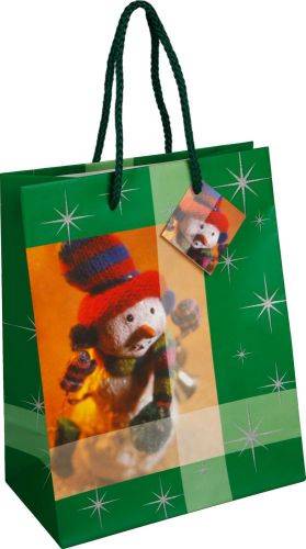 REGLUS vánoční taška, 19,5x24,5x11 cm, zelená