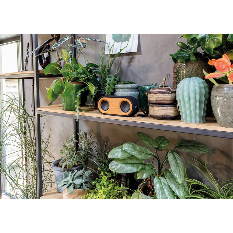 Dvojitý reproduktor Bamboo X, čierna Dvojitý reproduktor Bamboo X, čierna