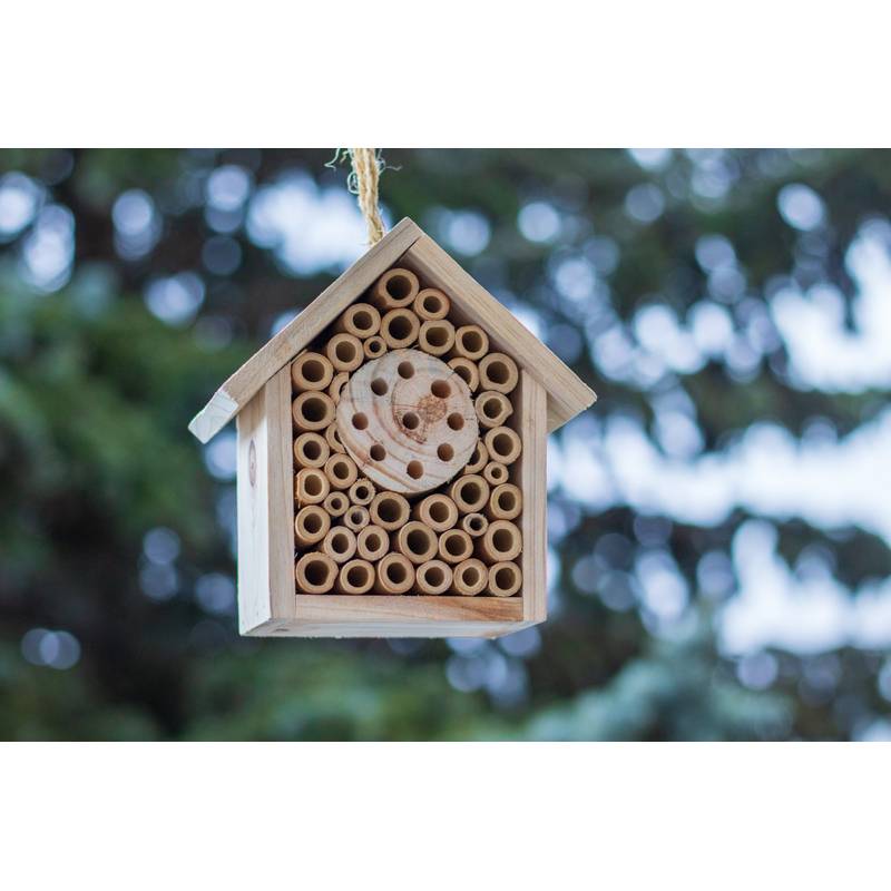 Hmyzí hotel z dreva, hnedá béžová Hmyzí hotel z dreva, hnedá béžová
