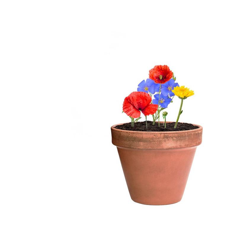 Mussox koule se semínky, hnědá přírodní Mussox koule se semínky, hnědá přírodní