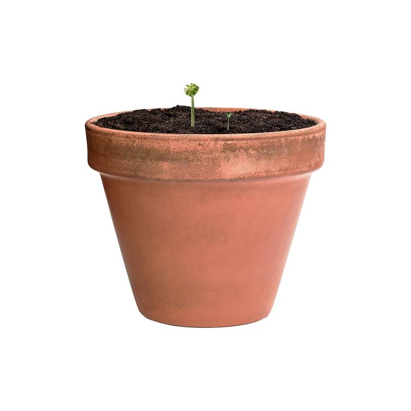 Mussox koule se semínky, hnědá přírodní Mussox koule se semínky, hnědá přírodní