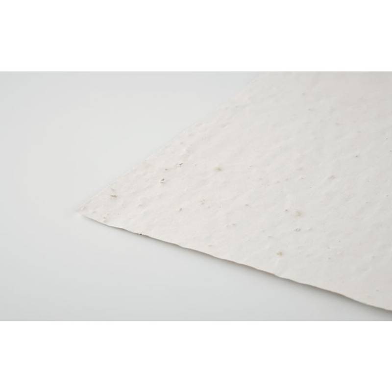 ASIDI List recyklovaného papiera A4 so semienkami divokých kvetov, biela ASIDI List recyklovaného papiera A4 so semienkami divokých kvetov, biela