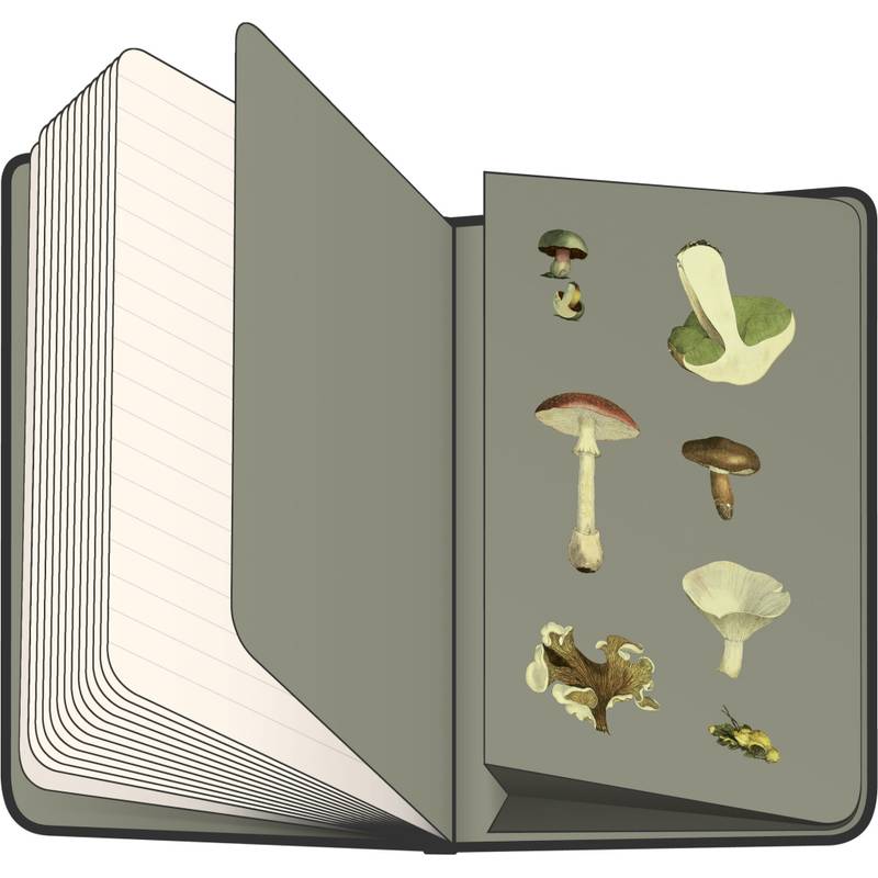 Notes Houby Kateřiny Winterové, linkovaný, 13 × 21 cm Notes Houby Kateřiny Winterové, linkovaný, 13 × 21 cm