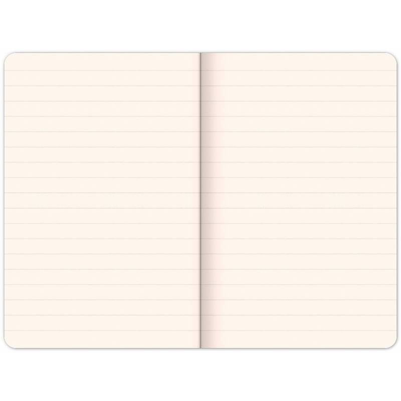 Notes Malý princ – King, linkovaný, 11 × 16 cm Notes Malý princ – King, linkovaný, 11 × 16 cm