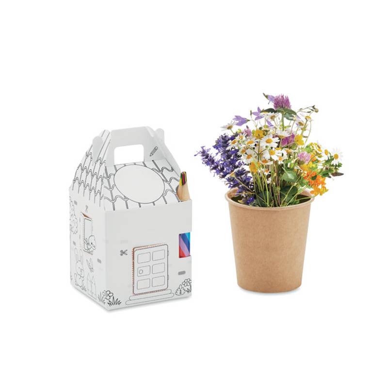 Sada semen ve tvaru domečku, vícebarevná Sada semen ve tvaru domečku, vícebarevná