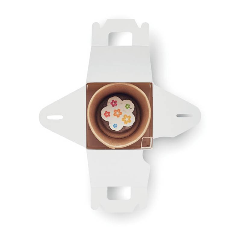 Sada semen ve tvaru domečku, vícebarevná Sada semen ve tvaru domečku, vícebarevná