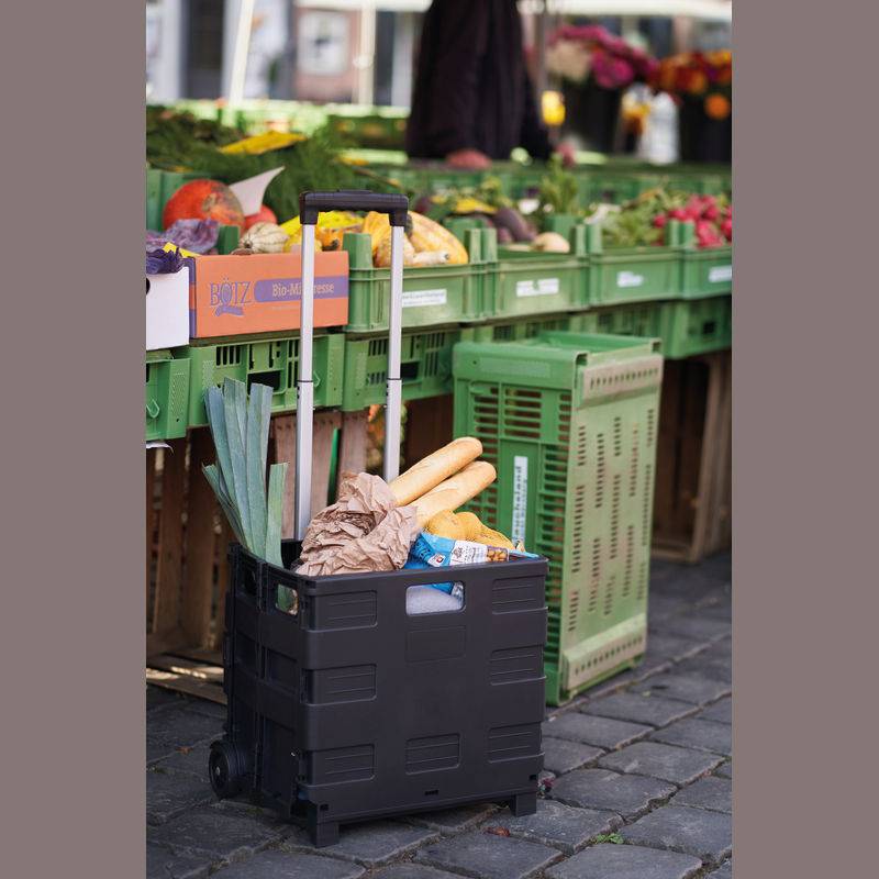 Skládací nákupní vozík, černá 32 L Skládací nákupní vozík, černá 32 L