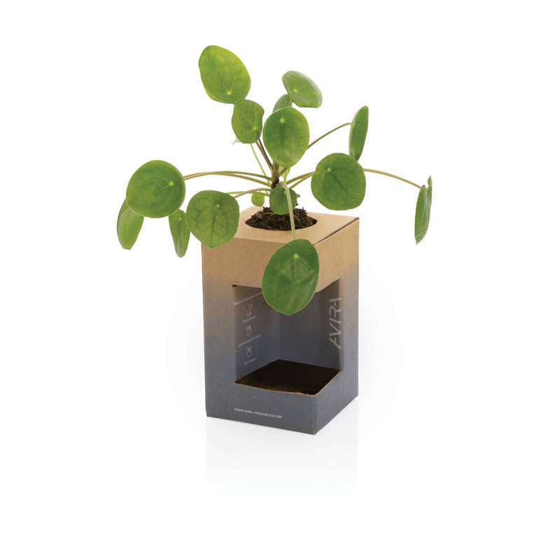 Termohrnček Avira Alya 300ml, modrá námornícka Termohrnček Avira Alya 300ml, modrá námornícka