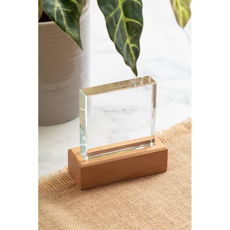 Rectofi trofej, hnědá Rectofi trofej, hnědá