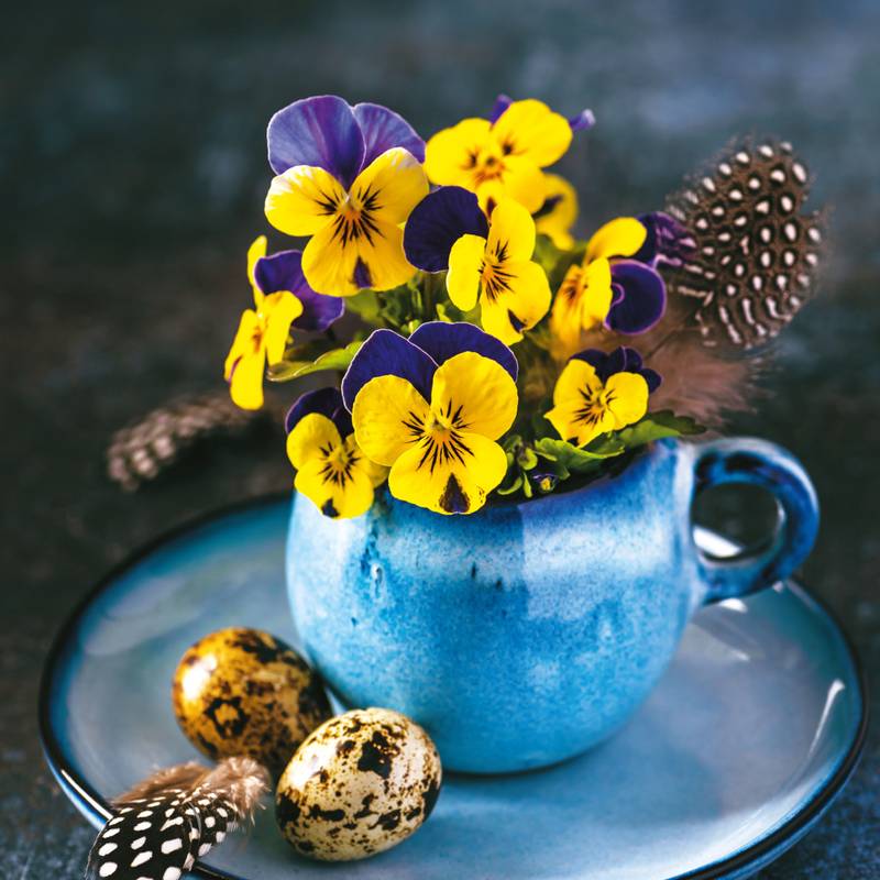 Poznámkový kalendár Kvety, 30 × 30 cm Poznámkový kalendár Kvety, 30 × 30 cm