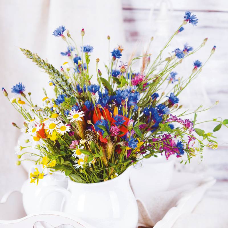 Poznámkový kalendár Kvety, 30 × 30 cm Poznámkový kalendár Kvety, 30 × 30 cm