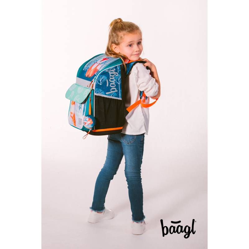 BAAGL Školní aktovka Zippy Vlaštovky BAAGL Školní aktovka Zippy Vlaštovky