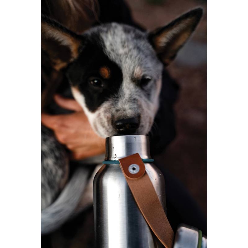 Malá termo fľaša na vodu 500 ml Black+Blum, modrá tyrkysová Malá termo fľaša na vodu 500 ml Black+Blum, modrá tyrkysová