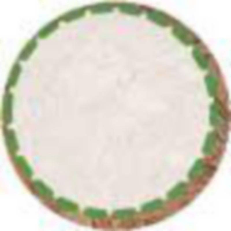 Sklenený lúhovač na čaj Dustin, transparentná Sklenený lúhovač na čaj Dustin, transparentná