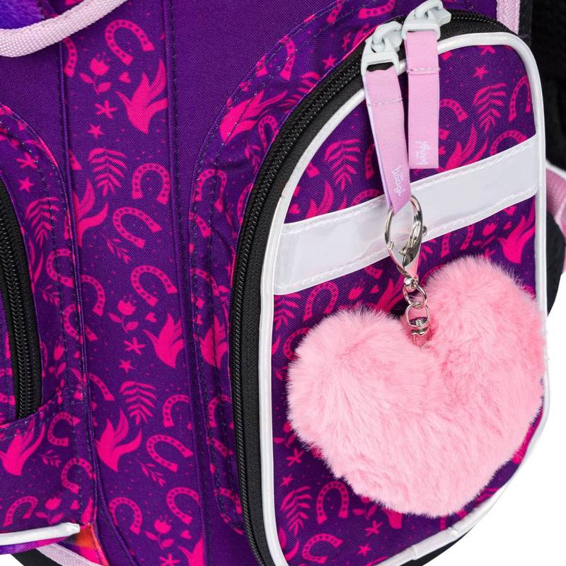 BAAGL SET 5 Ergo Kůň: aktovka, penál, sáček, desky, box BAAGL SET 5 Ergo Kůň: aktovka, penál, sáček, desky, box