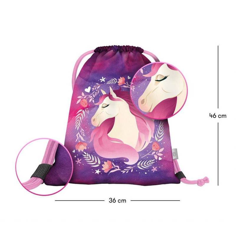 BAAGL SET 5 Ergo Kůň: aktovka, penál, sáček, desky, box BAAGL SET 5 Ergo Kůň: aktovka, penál, sáček, desky, box