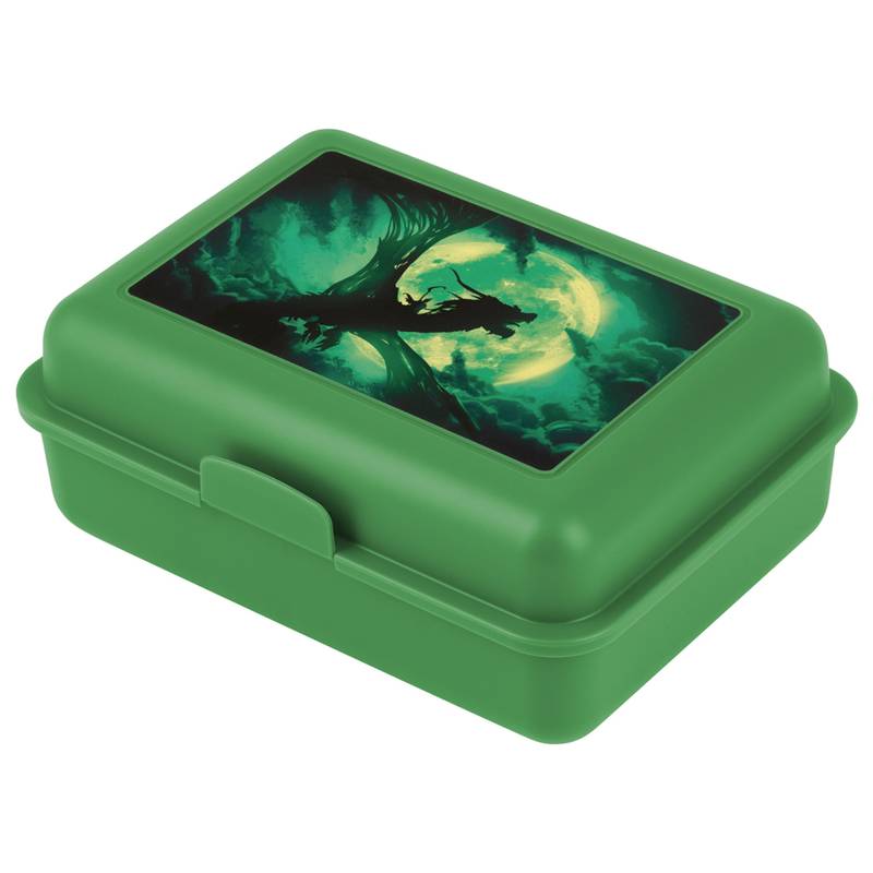 BAAGL SET 5 Ergo Drak: aktovka, peračník, sáček, desky, box BAAGL SET 5 Ergo Drak: aktovka, peračník, sáček, desky, box