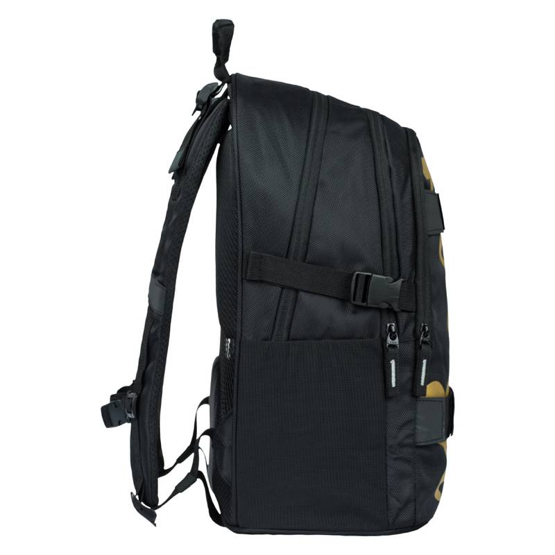 BAAGL SADA 5 Skate Gold: batoh, penál, kapsa, desky, peněženka BAAGL SADA 5 Skate Gold: batoh, penál, kapsa, desky, peněženka