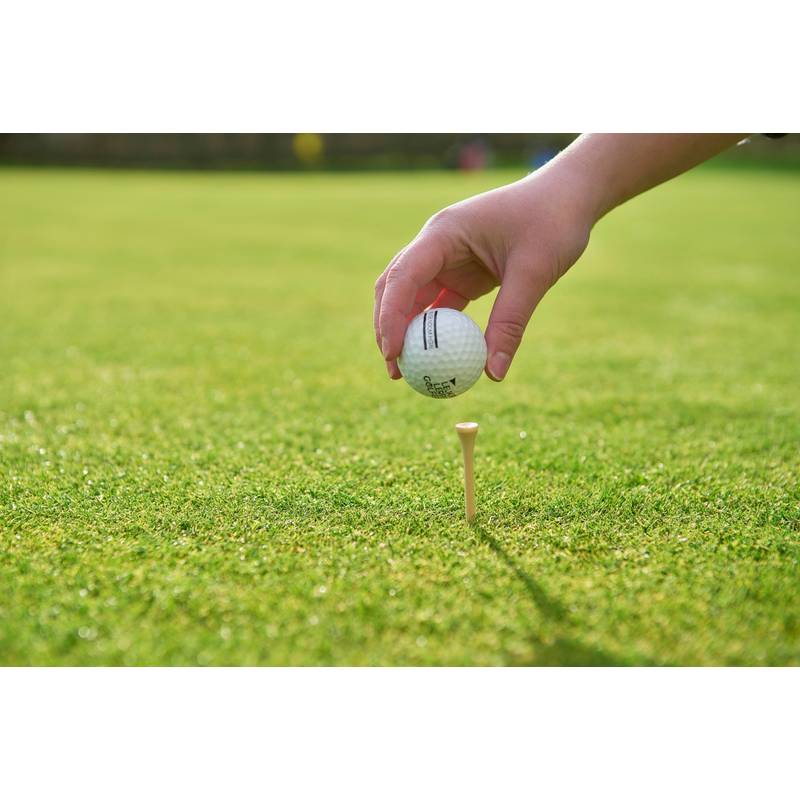 Dřevěná golfová odpaliště Nyssa, hnědá Dřevěná golfová odpaliště Nyssa, hnědá