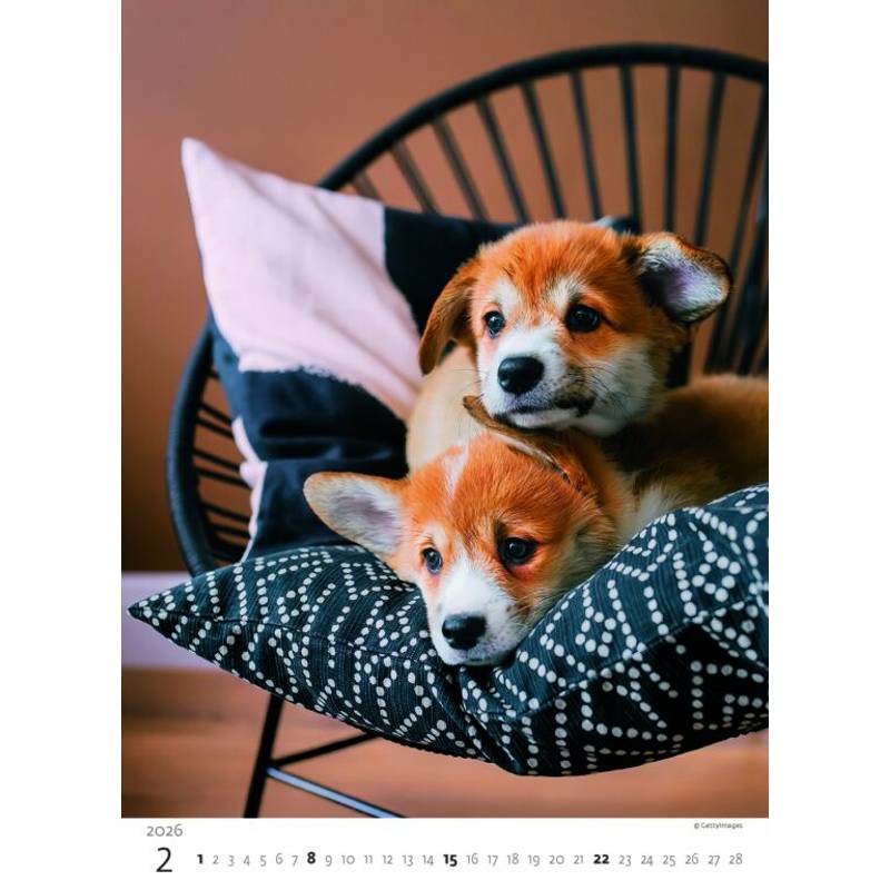 Kalendář Štěňátka, 2026 Kalendář Štěňátka, 2026