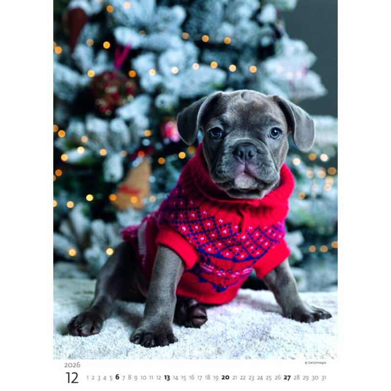 Kalendář Štěňátka, 2026 Kalendář Štěňátka, 2026