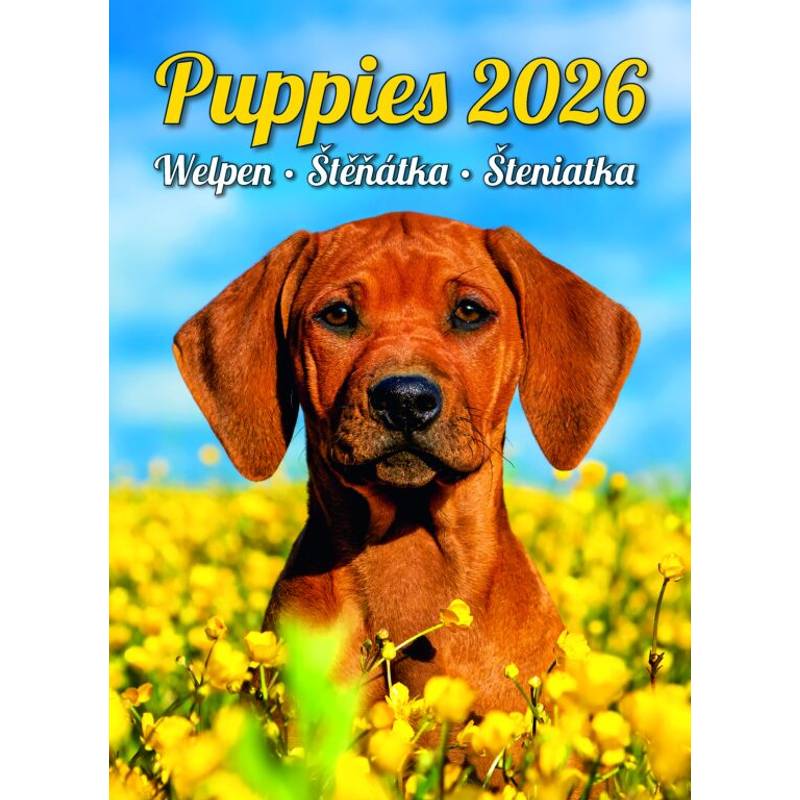 Kalendář Štěňátka, 2026 Kalendář Štěňátka, 2026