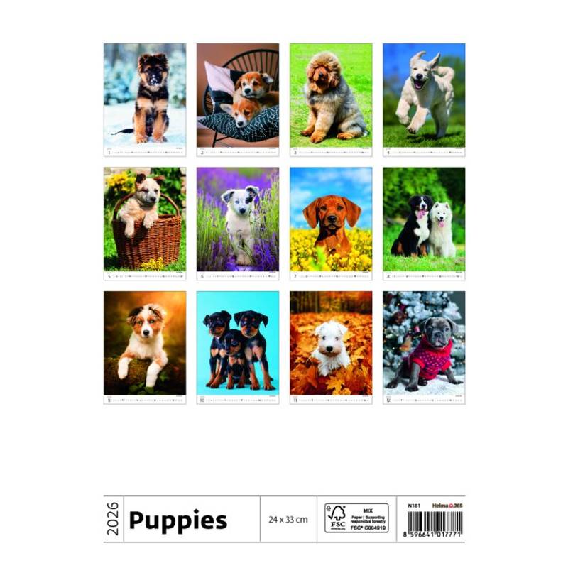 Kalendář Štěňátka, 2026 Kalendář Štěňátka, 2026