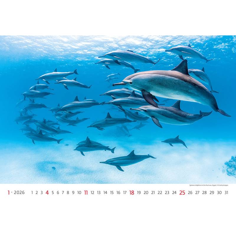 Kalendář Deep Blue, 2026 Kalendář Deep Blue, 2026