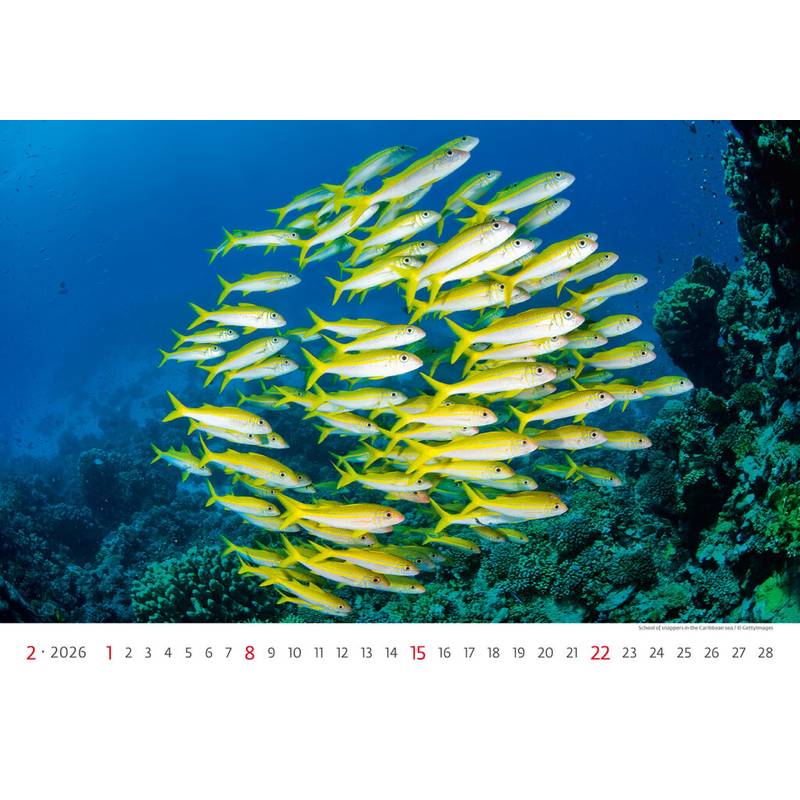 Kalendář Deep Blue, 2026 Kalendář Deep Blue, 2026