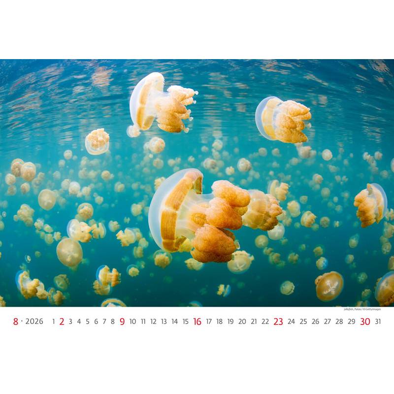 Kalendář Deep Blue, 2026 Kalendář Deep Blue, 2026