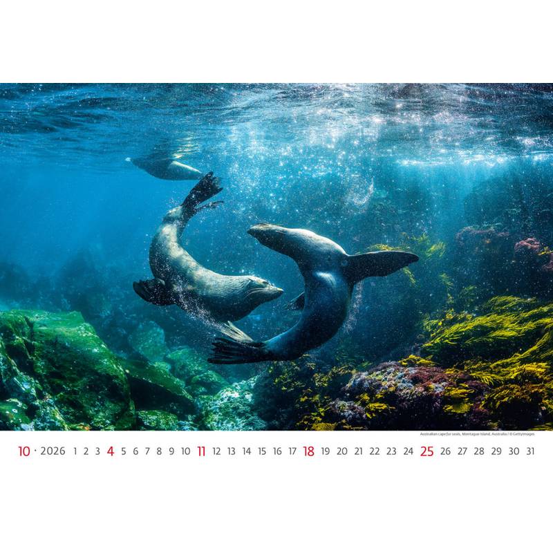Kalendář Deep Blue, 2026 Kalendář Deep Blue, 2026