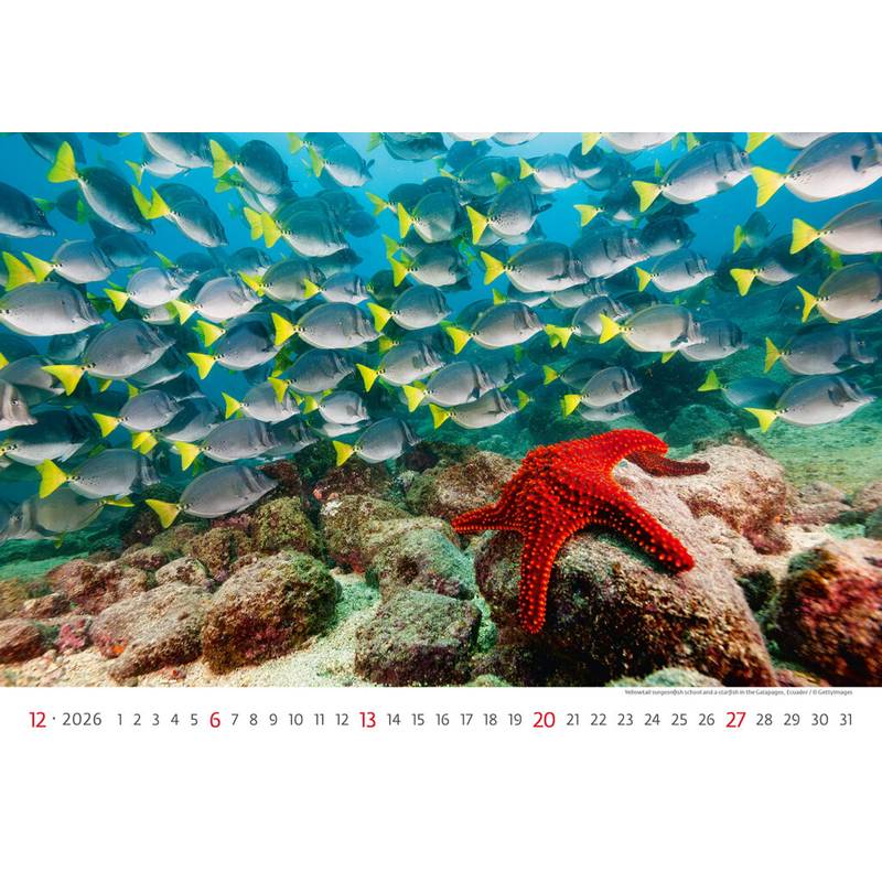 Kalendář Deep Blue, 2026 Kalendář Deep Blue, 2026