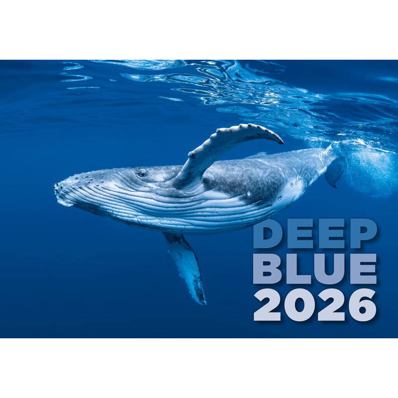 Kalendář Deep Blue, 2026 Kalendář Deep Blue, 2026